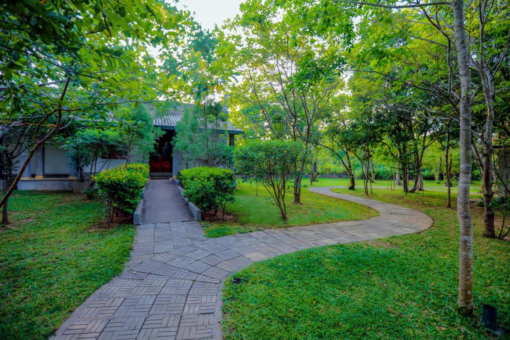 Sigiri Asna Nature Resort Sigiriya Exterior photo