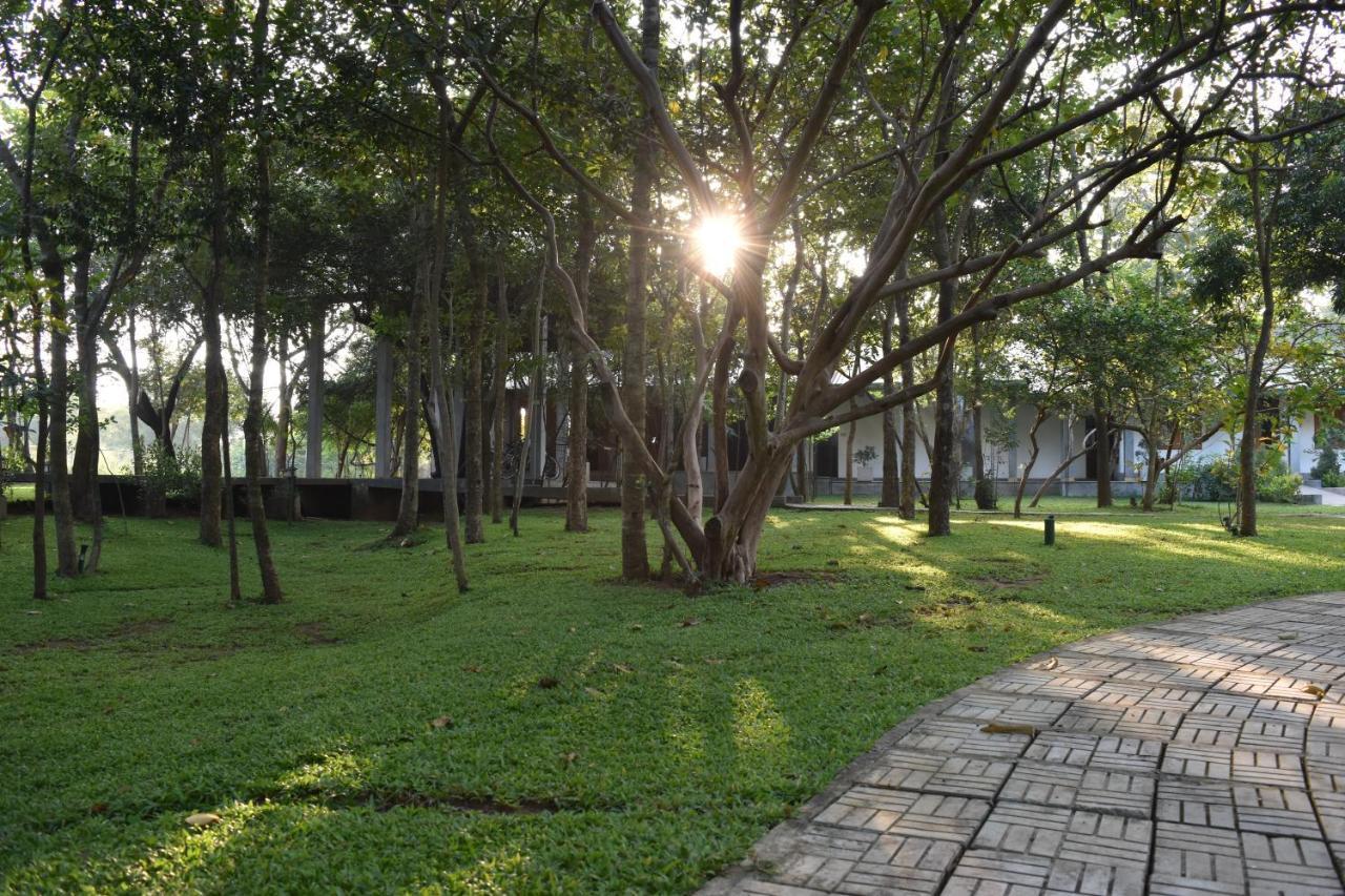 Sigiri Asna Nature Resort Sigiriya Exterior photo