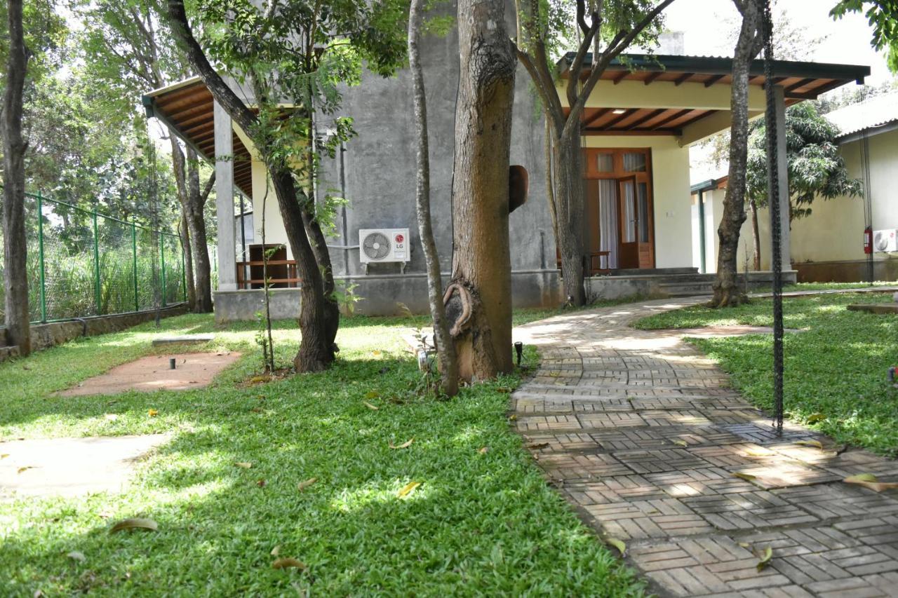 Sigiri Asna Nature Resort Sigiriya Exterior photo